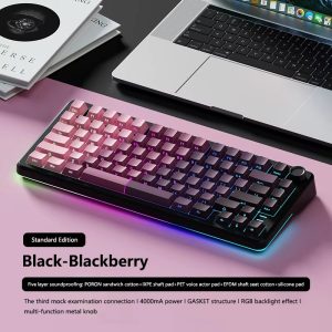EQWK75 Tri-Mode Mechanical Keyboard - Bluetooth, 2.4G Wireless Wired Gasket Mount for Laptop Gaming eSports - BLACK BERYY GRADIENT HORIZONTAL